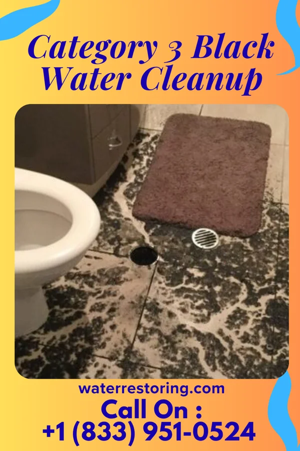Category 3 Black Water Cleanup in Clearwater, NE