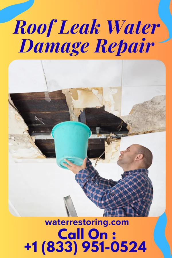 Roof Leak Water Damage Repair in Clearwater, NE